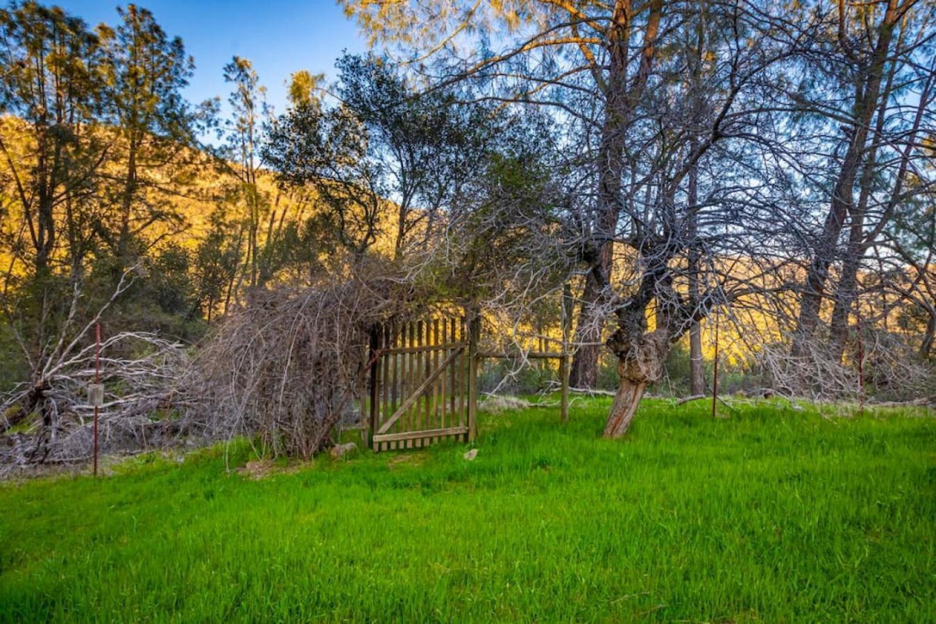 Sierra Vista Lookout Lodge With Creek, Waterfall And Waterholes, Minutes From Bass Lake And Yosemite South Gate North Fork Ngoại thất bức ảnh