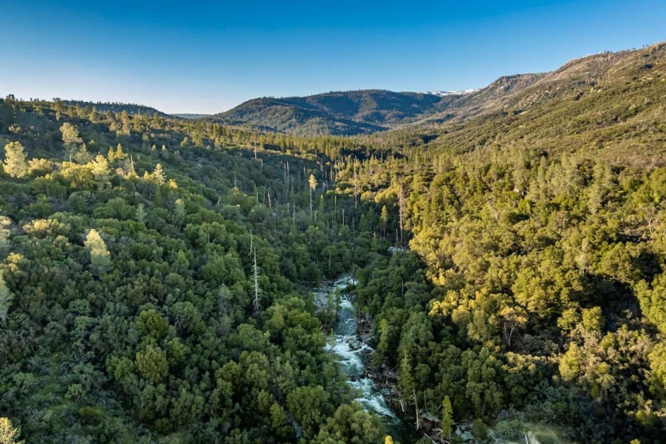 Sierra Vista Lookout Lodge With Creek, Waterfall And Waterholes, Minutes From Bass Lake And Yosemite South Gate North Fork Ngoại thất bức ảnh